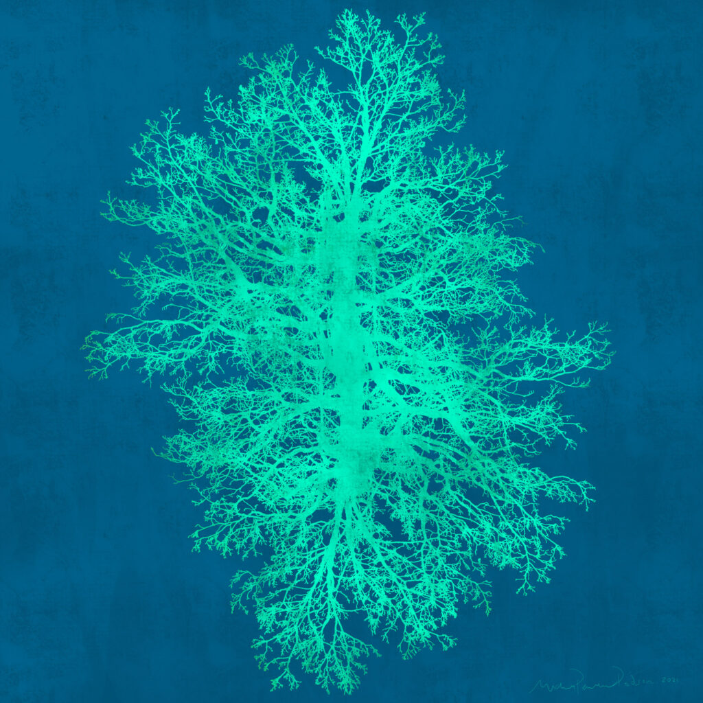 Blue Ridge Tree Man Blue Ridge Tree – Integrated Visions