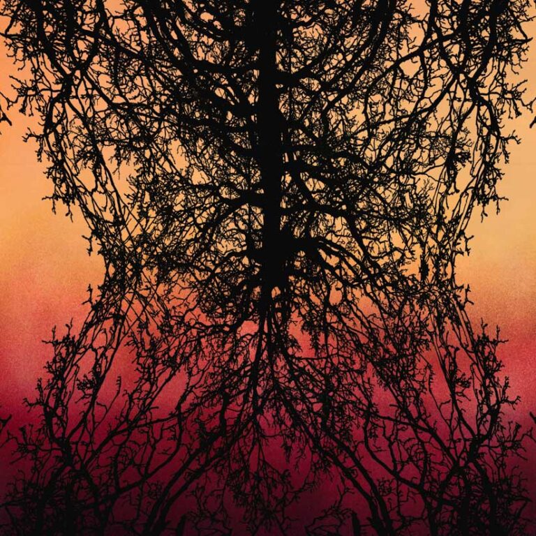 Reflected tree