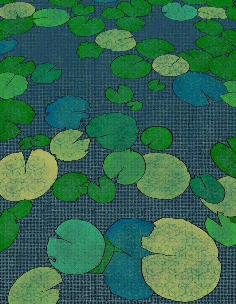 Lily Pads