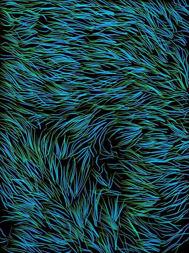Painting with mossy lines