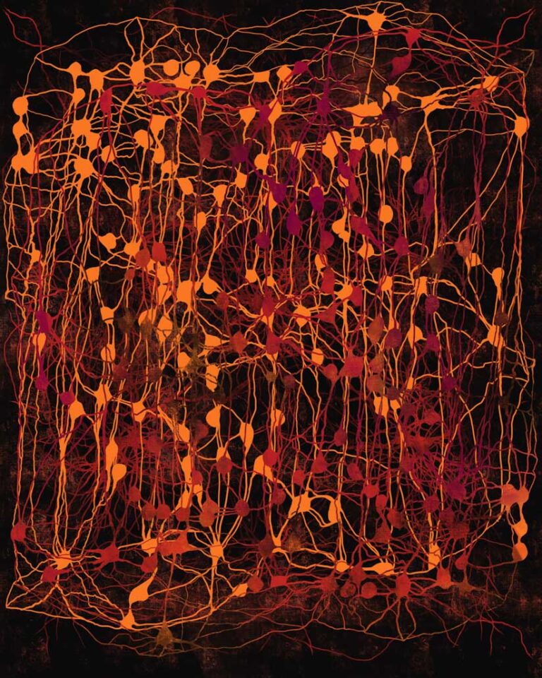 Synaptic Activity